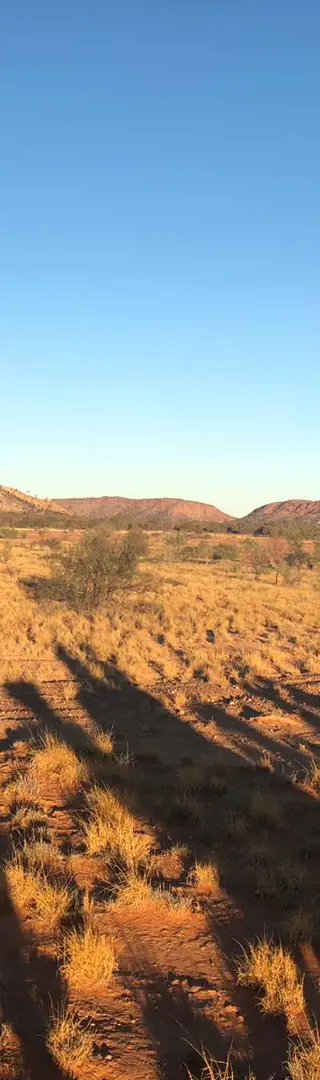 Mit den Kamelen durch das Outback